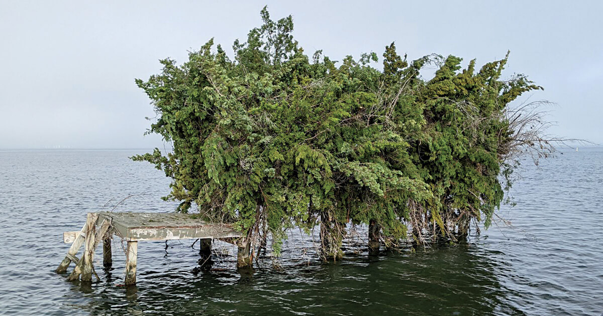 Courtesy of Jake Dempsey.jpg